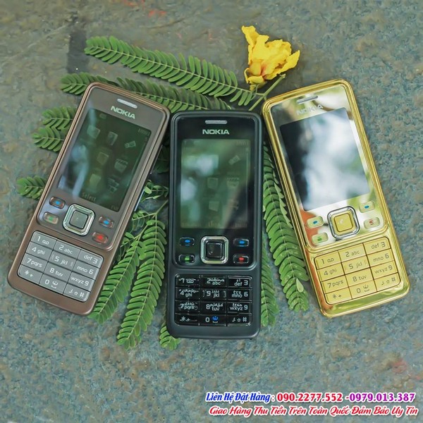 nokia6300goldchinhhang0025