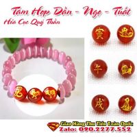 Vòng Tay Phong Thủy Hợp Hợp Mệnh Thổ ( Feng Shui Destiny Bracelet )